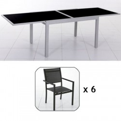 Conjunto de mesa y 6 sillas